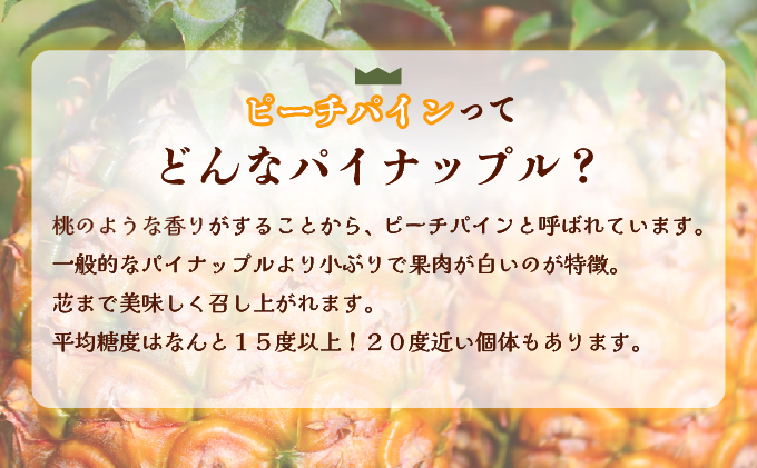 2026幎 å
è¡äºçŽ è¥¿è¡šå³¶ã®å®çããŒããã€ã³ 9kg (8ã12ç)ã忬ååº å®ç æç© ãã«ãŒãããå±ãïŒ5æäžæ¬ïœ6æäžæ¬é 