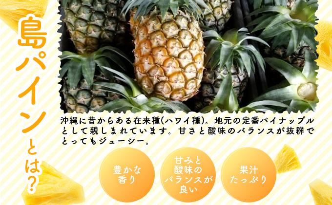 2026幎 å
è¡äºçŽ å³¶ãã€ã³ (ãã¯ã€çš®) çŽ2.5kgïŒ2ïœ3çïŒ ãã€ãããã«ã®çé è¥¿è¡šå³¶ç£ ãã€ã³ æç© ãã«ãŒã