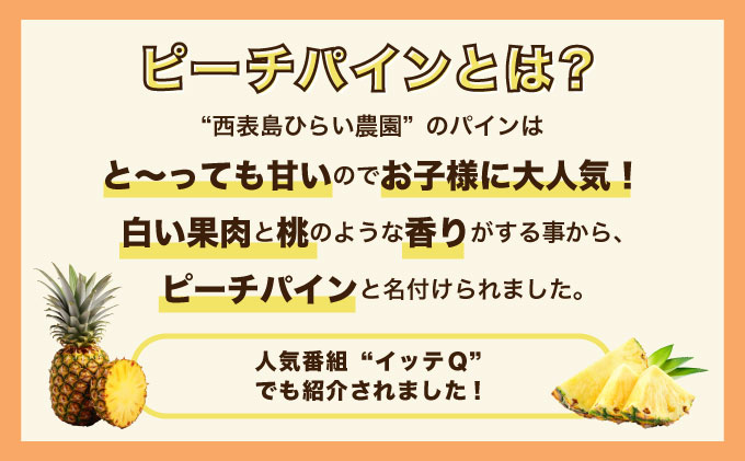 2026幎 å
è¡äºçŽ ããŒããã€ã³ çŽ2kg 3ã4ç æ¿å¯