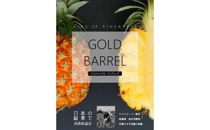 21年発送 水鴨農園 先行受付 国産 最高級 パイン ゴールドバレル Jalふるさと納税 Jalのマイルがたまるふるさと納税サイト