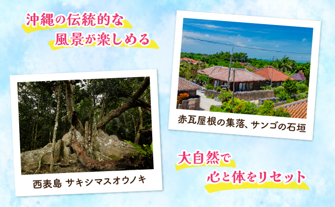 豐也ク逵檎ォケ蟇檎伴 譌・譛ャ遨コ霈ク譬ェ蠑丈シ夂、セ 譌陦後け繝シ繝昴Φ 15,000蜀蛻