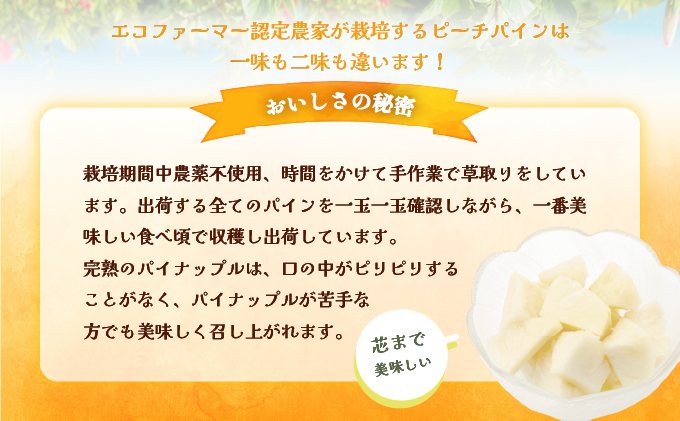 2026幎 å
è¡äºçŽ è¥¿è¡šå³¶ã®å®çããŒããã€ã³ 9kg (8ã12ç)ã忬ååº å®ç æç© ãã«ãŒãããå±ãïŒ5æäžæ¬ïœ6æäžæ¬é 