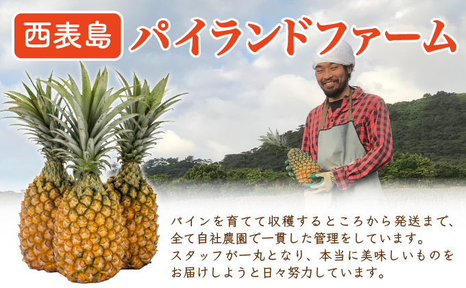 ãæã§ã¡ãã£ãŠé£ã¹ã楜ãããçé®®ã¹ããã¯ãã€ã³6kgïŒ5ïœ9çïŒ2026幎 å
è¡äºçŽãæ²çžã西衚島