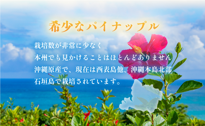 穫れたて新鮮冷凍！西表島の完熟ピーチパイン 3.2kg(400g×8袋)　