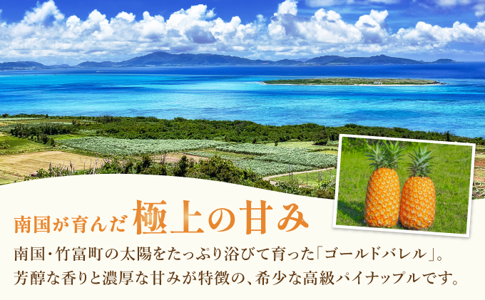 é«çŽæNo.1ïŒéçºã«30å¹Žã»æ œå¹ã«3幎ããã€ãããã«ã®æé«å³°ãŽãŒã«ããã¬ã«2.5kg(2ã3ç)