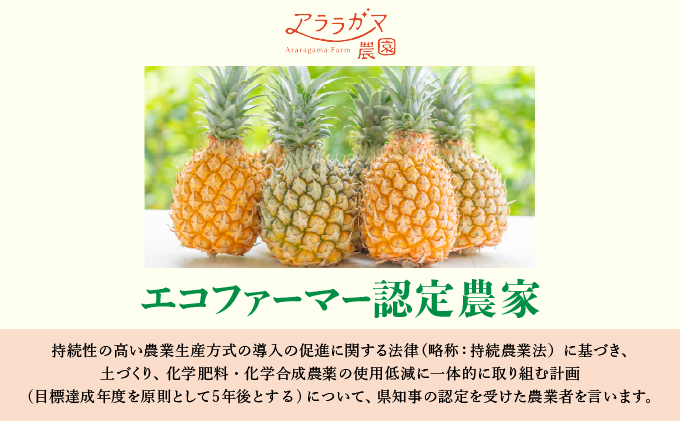 水なし、加熱なし、砂糖なし！天然まるごと！完熟生パイナップル冷凍ピューレ200ml×65本セット