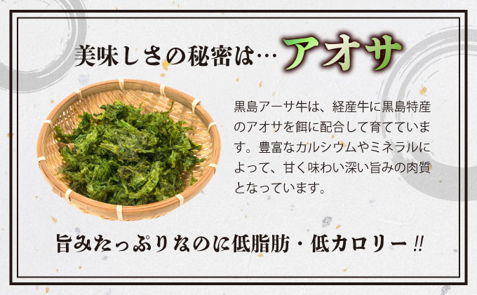 ハンバーグ 牛肉 黒島 アーサ牛 150g×8個 サーロイン 150g×2 アーサ 250g セット 