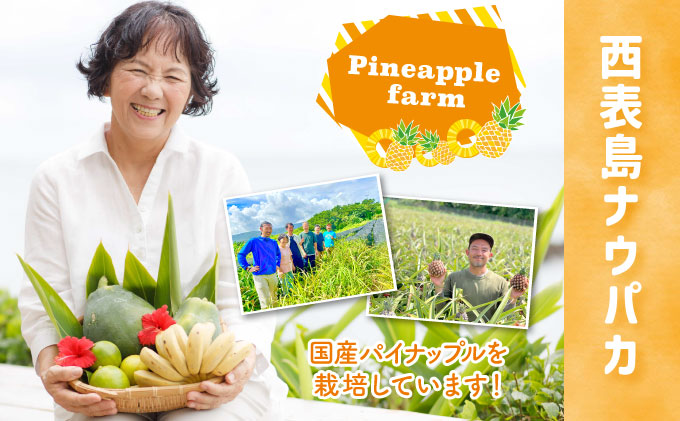 【訳あり】☆新感覚の味わい☆まるで桃のような甘〜い香り　『西表島産完熟ピーチパイン』 約3.5kg