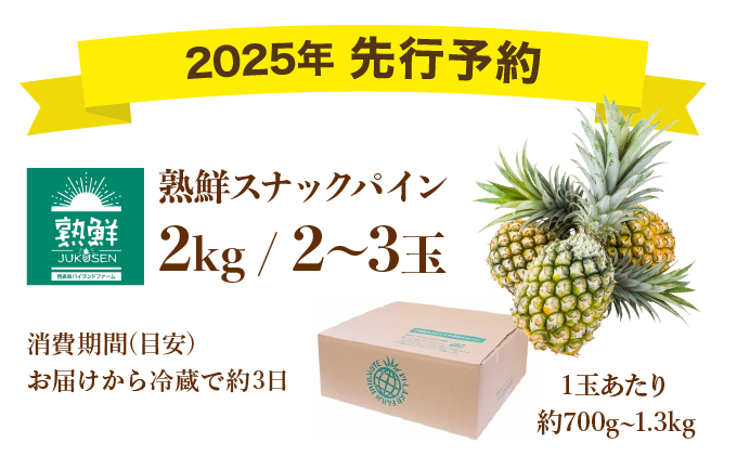 ２０２５年発送予約【手でちぎって食べる楽しさ】沖縄　西表島　熟鮮スナックパイン2kg（2～3玉）