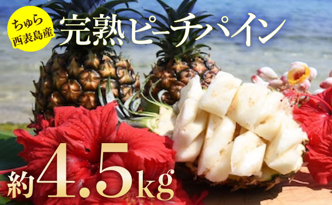 2026年 先行予約 ピーチパイン 約4.5kg 5玉〜8玉 ちゅら西表島産!! ゆたか農園 完熟 パイン 果物 フルーツ パイナップル