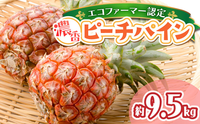 2026年 先行予約 ピーチパイン約9.5kg 濃香 パイン ★たっぷり大家族サイズ★西表島 絶品 初エコファーマー認定