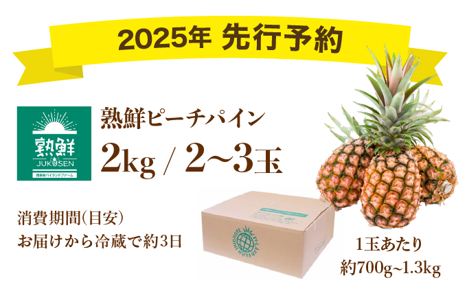 2025年 先行予約【桃のような甘い香り】沖縄　西表島　熟鮮ピーチパイン2?（2〜3玉）