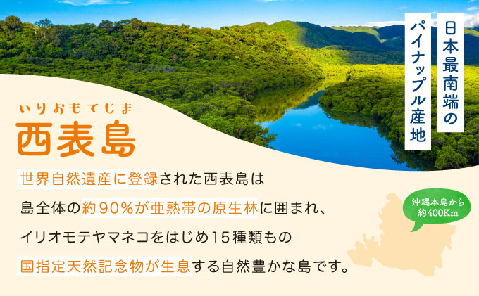 訳あり パイン 2024年 先行予約 人気No.１ 完熟 ピーチパイン 約4Kg 西表島ナウパカ ご家族満足用 ☆ほんの〜り桃の香りのする不思議なパイン☆