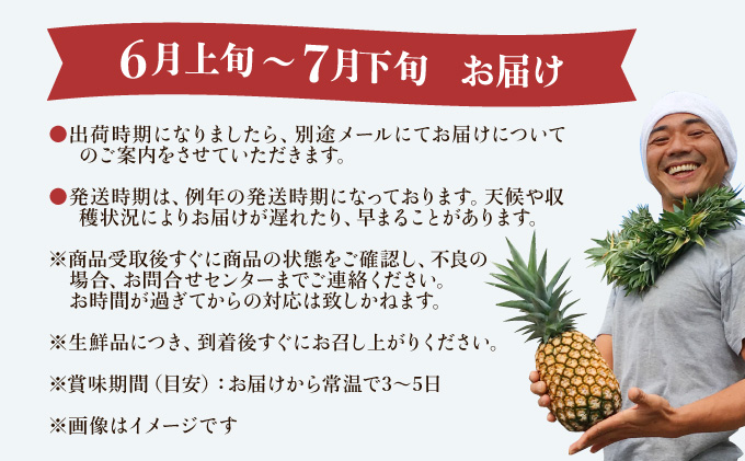 2024年 先行予約 パイナップル ついに実現！栽培期間中 完全有機 無農薬 アナナスバレル 約3kg 2〜5玉 果物 フルーツ