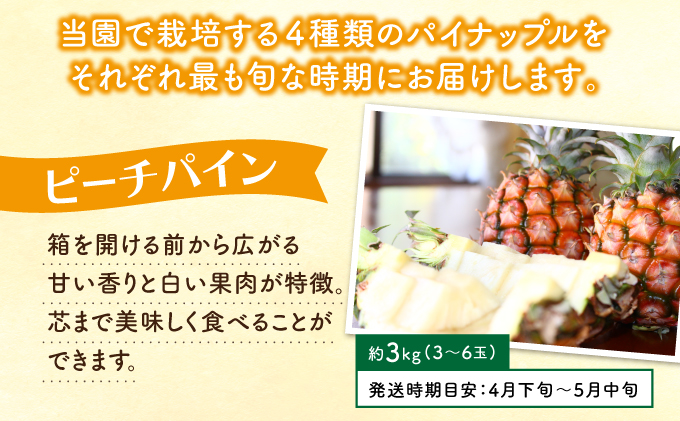 定期便 4回 2025年 先行予約 パイナップル 旬果便 農園ファイミール パイン 4種 果物 フルーツ