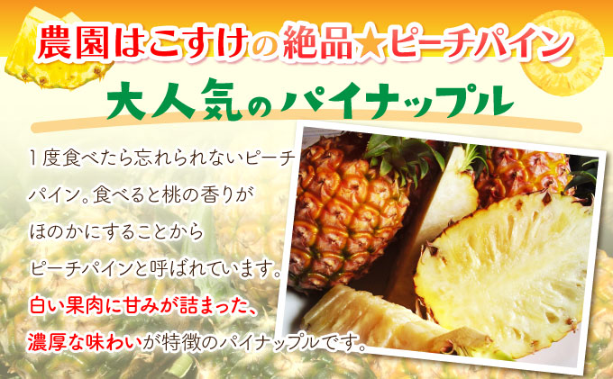 å®æäŸ¿ 2ã¶æ 2026幎 å
è¡äºçŽ ããŒããã€ã³ çŽ7.5kg çµ¶å â
ãã¡ããªãŒãµã€ãºâ
西衚島 åãšã³ãã¡ãŒããŒèªå® 2å ãæ¥œãã¿ æç© ãã«ãŒã