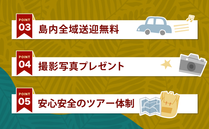 旅行券 沖縄 チケット 西表島 アクティビティ ツアーチケット 6,000円 旅行クーポン 旅行 体験 観光 クーポン