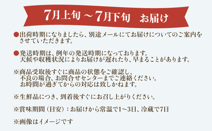 【訳あり】減農薬 アップルマンゴー 約1kg 2〜4玉 【2024年7月上旬以降順次発送】アナナス農園 完熟 マンゴー 果物 フルーツ