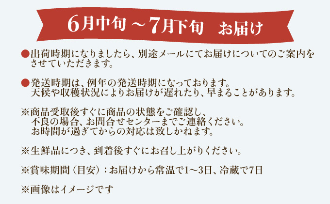 2024年 先行予約 栽培期間中 減農薬 アップルマンゴー  約1kg 2〜4玉 アナナス農園 完熟 マンゴー 果物 フルーツ