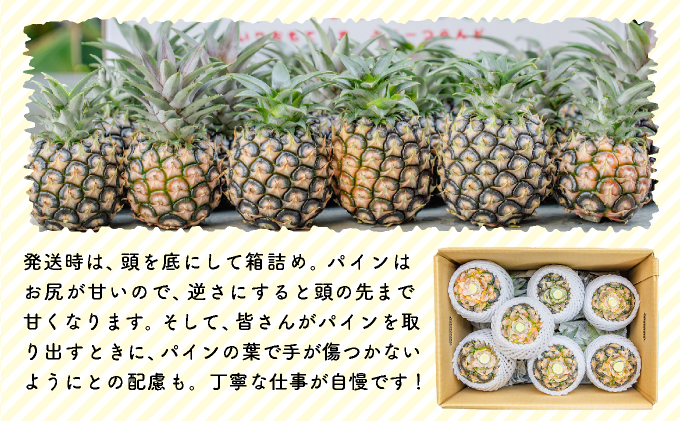 2026年 先行予約 小玉 ピーチパイン 約3.5kg 6～9玉 ★西表島ふる～つらんど★美味しさギュッと！ 果物 フルーツ パイン