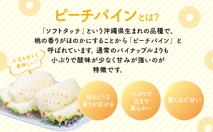 2026年 先行予約 小玉 ピーチパイン 約3.5kg 6～9玉 ★西表島ふる～つらんど★美味しさギュッと！ 果物 フルーツ パイン