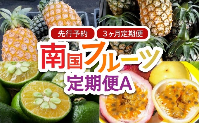 2026年 先行予約 定期便 3ヶ月 南国フルーツ 定期便A パイン シークヮーサー 計4種類 果物 フルーツ 3回 お楽しみ