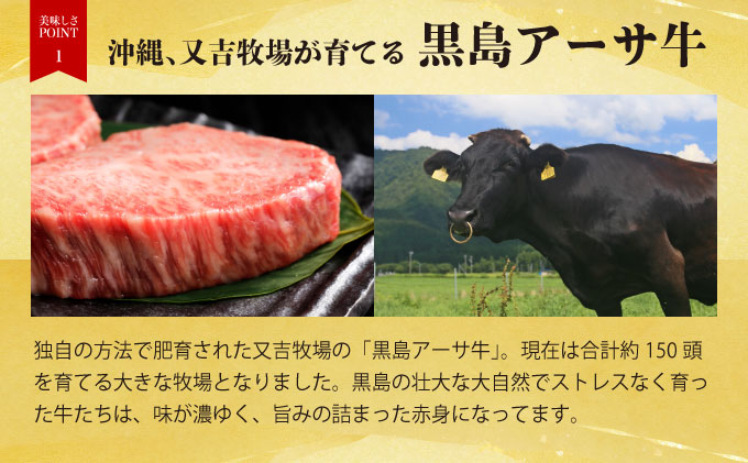 ハンバーグ 牛肉 黒島 アーサ牛 150g×8個 サーロイン 150g×2 アーサ 250g セット 