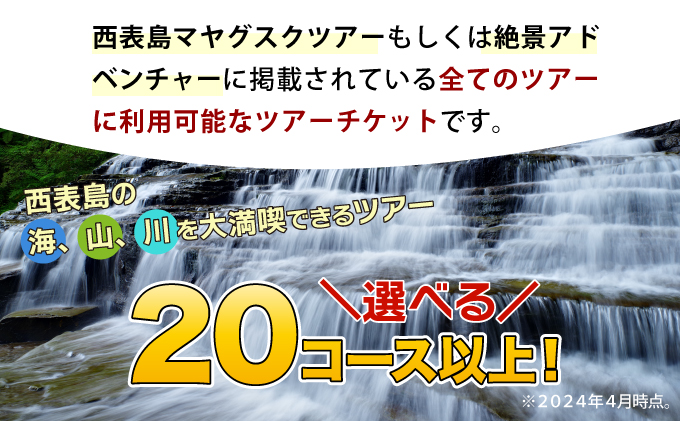 旅行券 沖縄 チケット 西表島 アクティビティ ツアーチケット 3,000円 旅行クーポン 旅行 体験 観光 クーポン