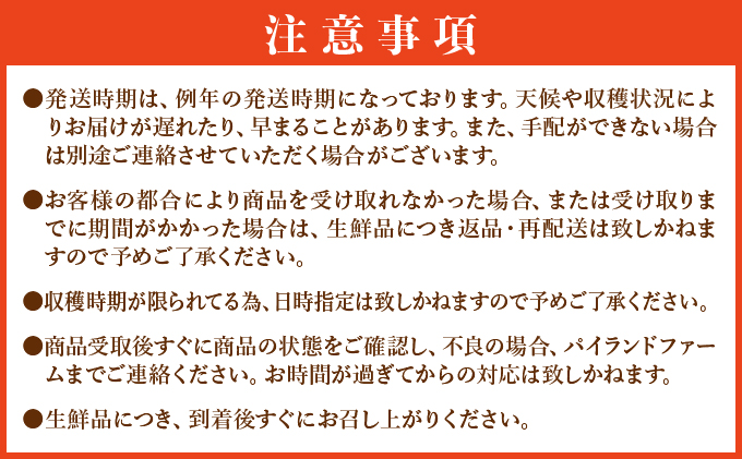 【訳あり】大きさ不揃い　お得！箱にいっぱいスナックパイン4㎏セット