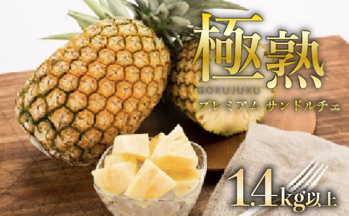 GOKUJUKU-極熟プレミアムサンドルチェ(R) 1.4kg以上 1玉　2026年　先行予約 パイナップル 沖縄 高糖度秀品 贈答用 贈り物 パイン 果物 フルーツ デザート 希少 西表島
