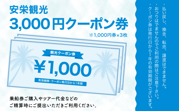 安栄観光 3,000円クーポン券