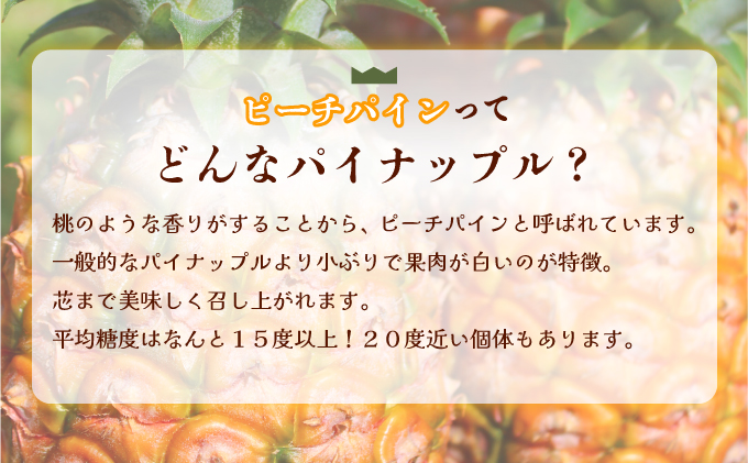 穫れたて新鮮冷凍！西表島の完熟ピーチパイン 500g×3袋【042-a001】