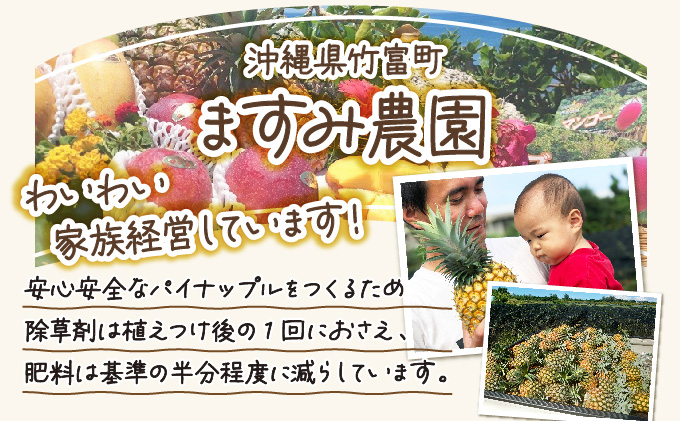 2026幎 å
è¡äºçŽ ãã€ã³ ãŽãŒã«ããã¬ã« çŽ3kg 2ïœ4ç ãŸãã¿èŸ²å çã¿ ãã£ã·ã ãã€ãããã« æç© ãã«ãŒã