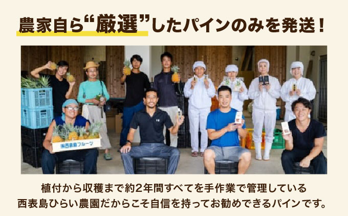 2026年 先行予約 スナックパイン 約7kg 10玉 西表島ひらい農園 パイナップル 果物 フルーツ パイン
