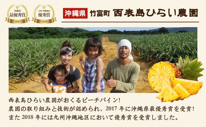 2026年 先行予約 定期便 週1 ピーチパイン 約18kg (約6kg(6〜10玉)×3回配送) 