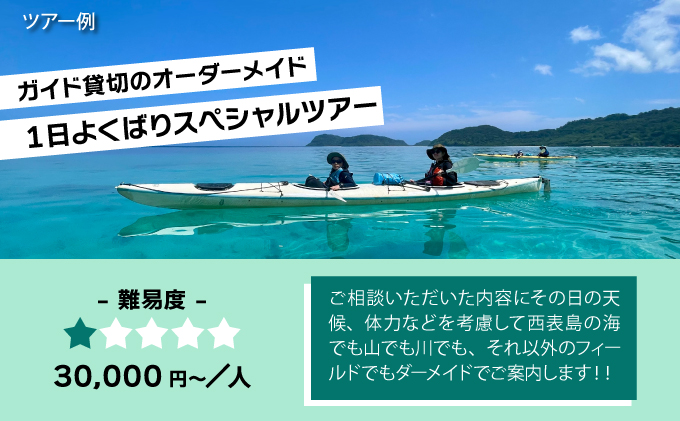 旅行券 沖縄 チケット 西表島 アクティビティ ツアーチケット 3,000円 旅行クーポン 旅行 体験 観光 クーポン