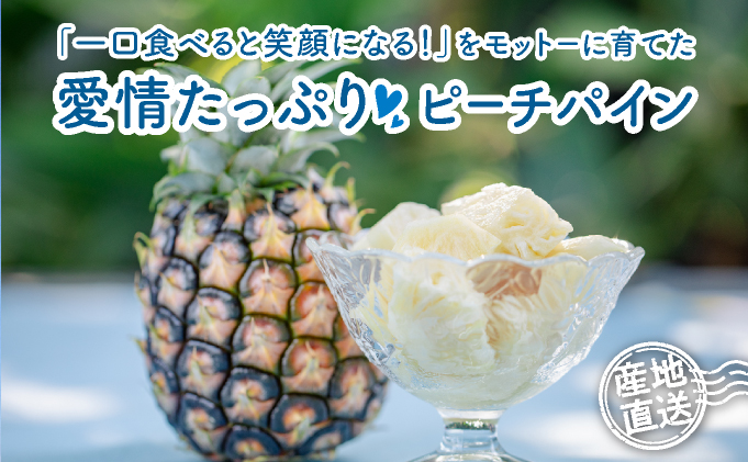 2026年 先行予約 小玉 ピーチパイン 約3.5kg 6～9玉 ★西表島ふる～つらんど★美味しさギュッと！ 果物 フルーツ パイン