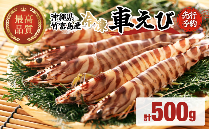 先行予約 車えび 500g 竹富島産 冷凍車えび