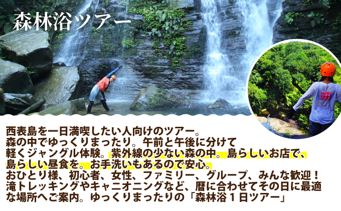 西表島 森林浴1日ツアー 大人1名分
