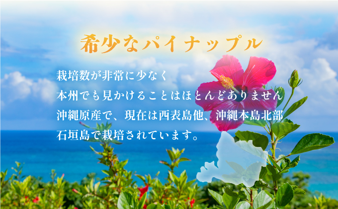 穫れたて新鮮冷凍！西表島の完熟ピーチパイン 500g×3袋【042-a001】