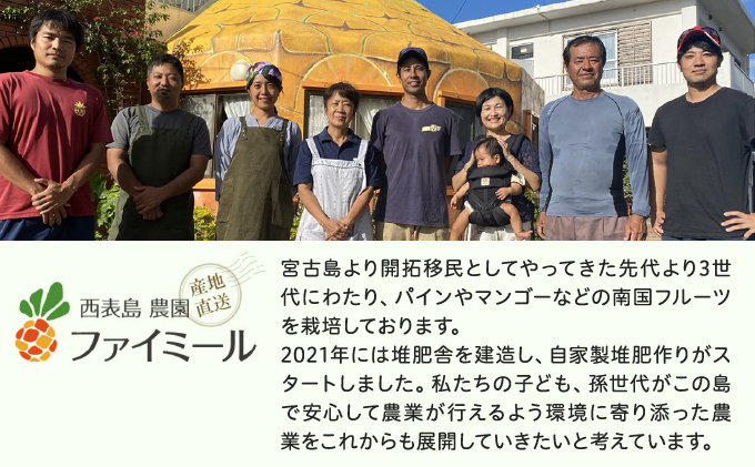 《2025年先行予約》ハワイパイン約4kg 【お届け：2025年6月中旬～7月下旬】【農園ファイミール 完熟 果物 フルーツ パイン パイナップル】