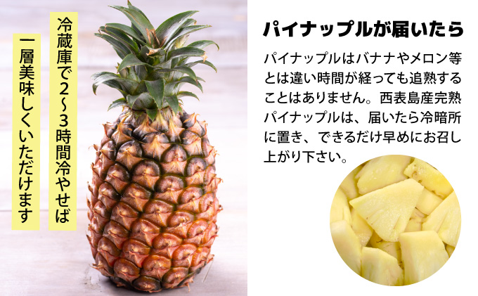 【2026年発送】リピータ続出！西表パイン園の蜜入り ピーチパイン4kgセット