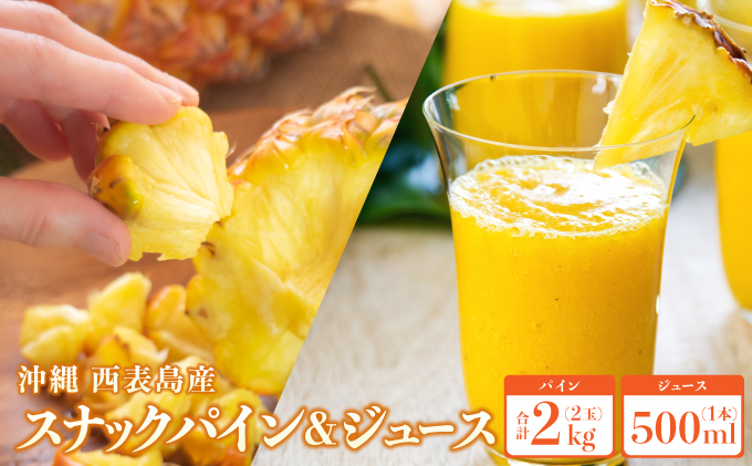 2026年 先行予約 熟鮮スナックパイン2kg （2玉）と甘さをぎゅっと詰め込んだ100％ パイナップルジュース 1本
