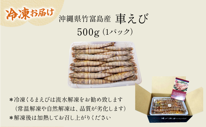 2025年 先行予約 車えび 500g 竹富島産 冷凍車えび