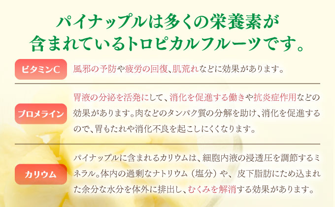 2025年 先行予約 ピーチパイン 約3kg 3玉〜4玉 ちゅら西表島産!! ゆたか農園 完熟 パイン 果物 フルーツ パイナップル