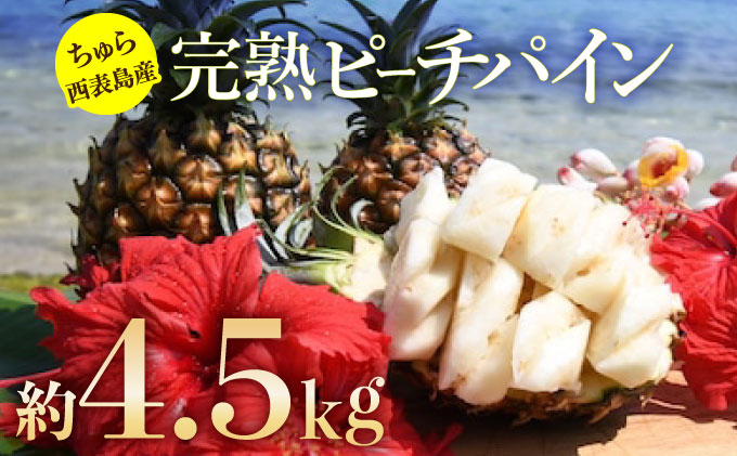 2025年 先行予約 ピーチパイン 約4.5kg 5玉〜7玉 ちゅら西表島産!! ゆたか農園 完熟 パイン 果物 フルーツ パイナップル