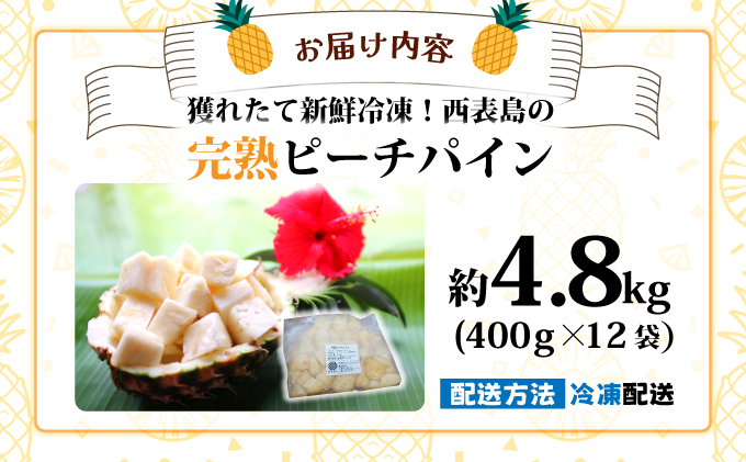 穫れたて新鮮冷凍！西表島の完熟ピーチパイン 4.8kg(400g×12袋)