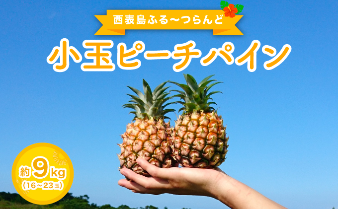 2026年 先行予約 小玉 ピーチパイン 約9kg 16～23玉 ★西表島ふる～つらんど★美味しさギュッと！果物 フルーツ パイン