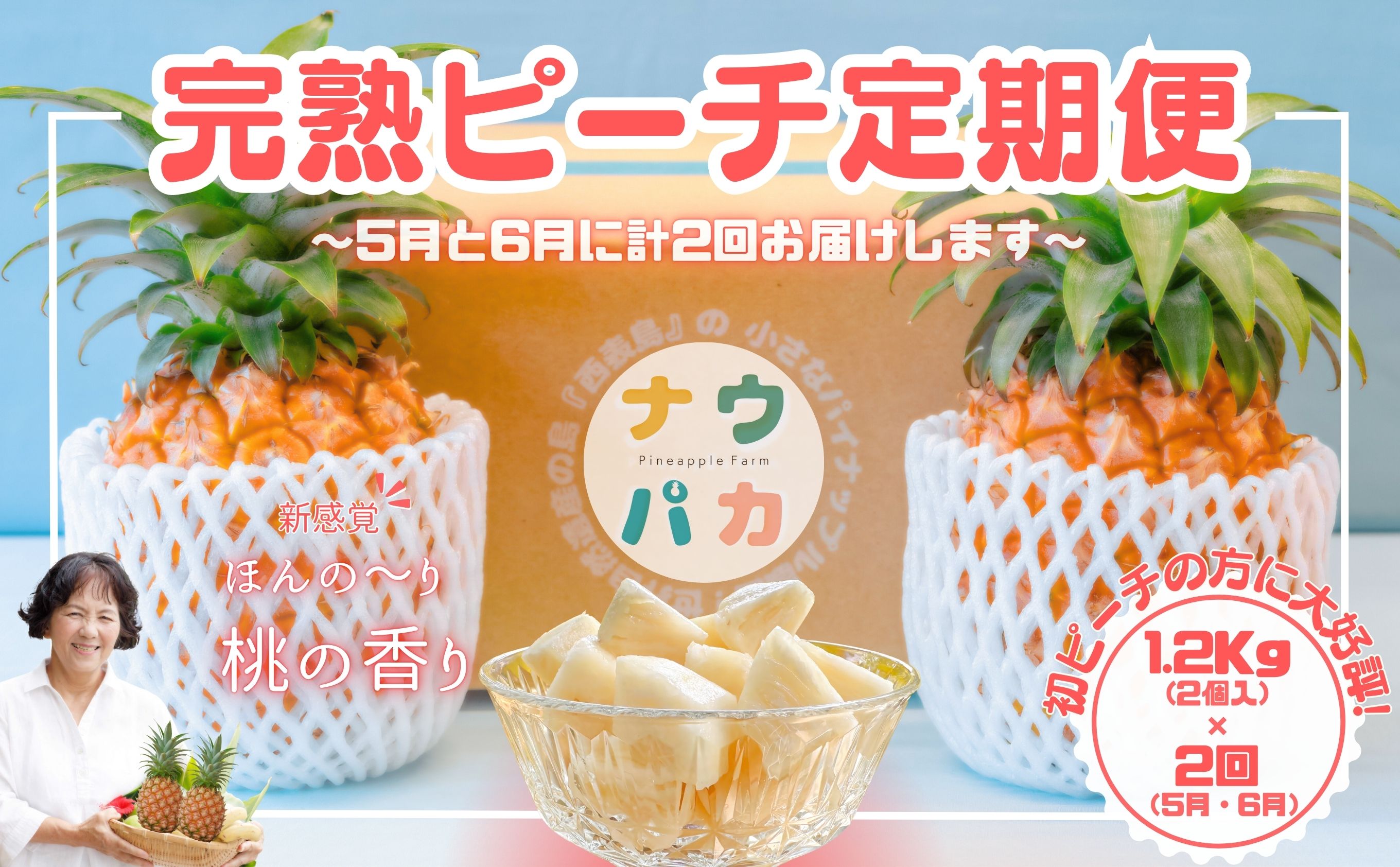 【ピーチ定期便★約1.2kg×2回】☆新感覚☆ 桃のような芳醇な香りのする『西表島産 完熟ピーチパイン』