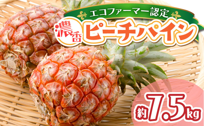 2026年 先行予約 ピーチパイン 濃香 約7.5kg ★ファミリーサイズ★ 西表島 絶品 初エコファーマー認定 果物 フルーツ